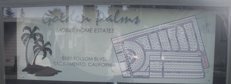 Internal-Page-Sliders-Golden-Palms-2